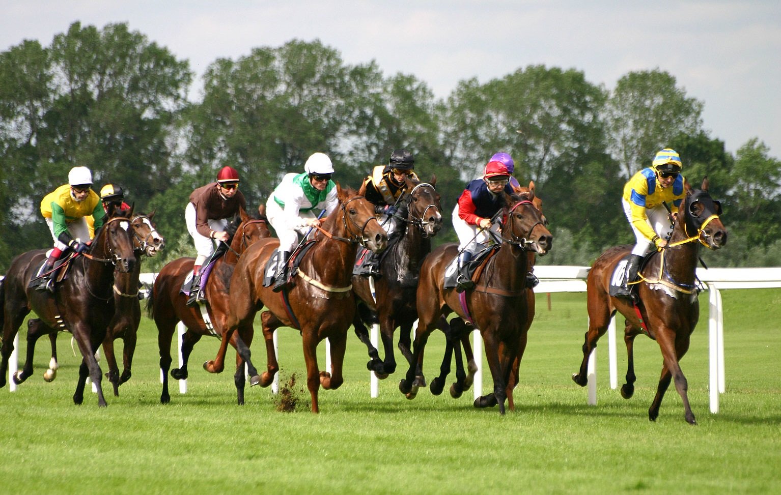 How to Bet on Flat Racing.