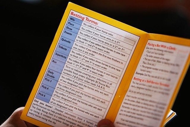 Horse Racing Terminology