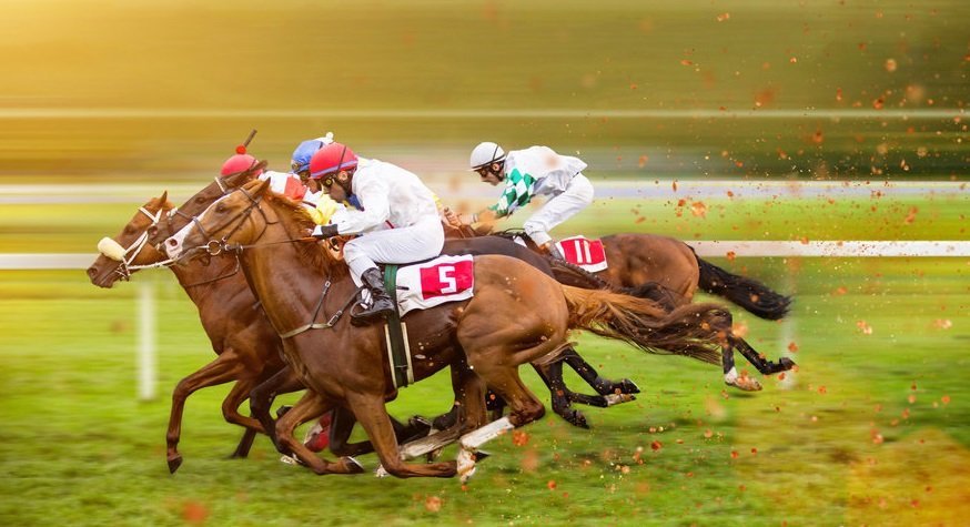 How to Start Betting on Horse Racing