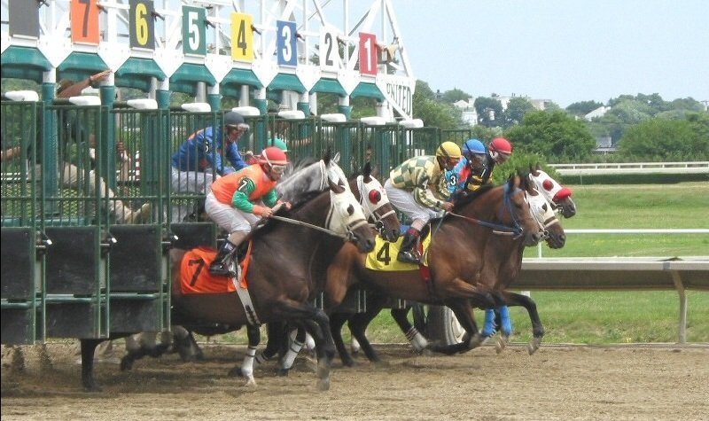 How to Bet on Horse Racing Specials